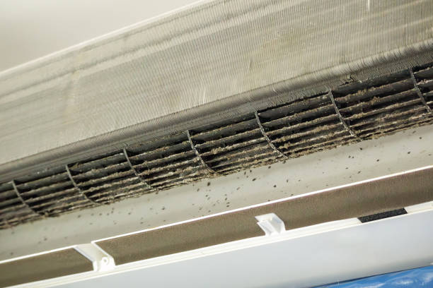 Best Affordable HVAC Duct Cleaning  in Hudson Lake, IN